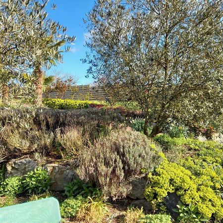 Havre de paix et jardin tropical. Chambre privée Le Rheu Extérieur photo
